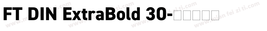 FT DIN ExtraBold 30字体转换